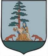 Gmina Skulsk