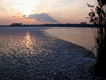Wyróżnienie „Granice Zimy” Zbigniew Walkiewicz 